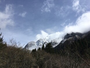 雪山远景 山间植被与云雾