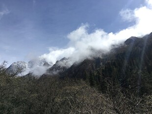 雪山云雾下的山林美景
