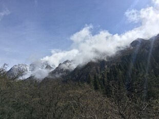 雪山云景下的山林风光