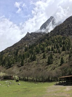 山间草地旁的巍峨山峰