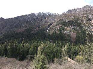 山林景致 绿意盎然的山脉