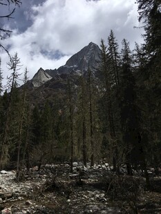 山林中的巍峨山峰