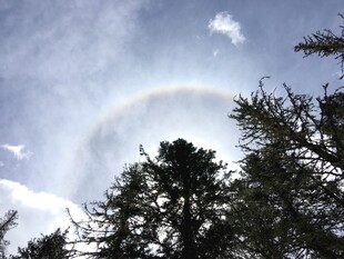 林间上空现美丽彩虹