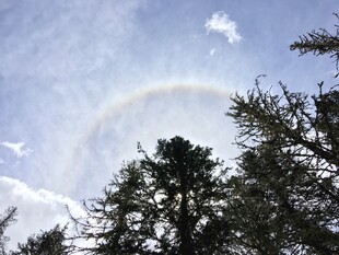 天空中飞机与彩虹和树木