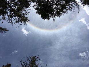 林间上空现美丽日晕景观