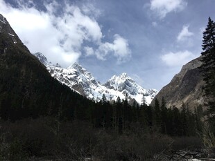 雪山峡谷森林壮丽景观