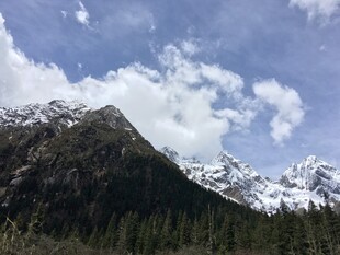 壮丽雪山与葱郁山林景观