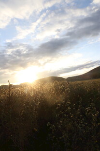 夕阳下的旷野美景