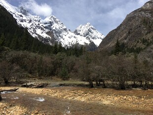 雪山下的河谷风光