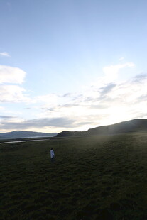 草原上的开阔风景