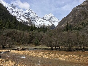 雪山下的开阔山谷风光