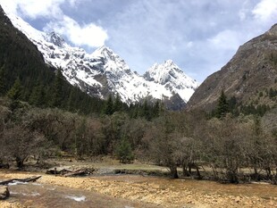 雪山下的河谷风光