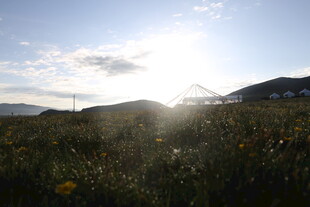 草原上的阳光美景
