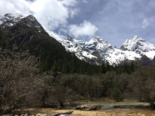 雪山下的自然美景