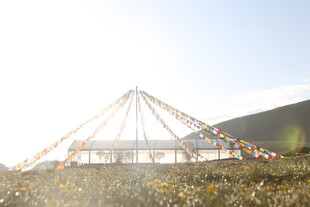 草原上的彩色帐篷