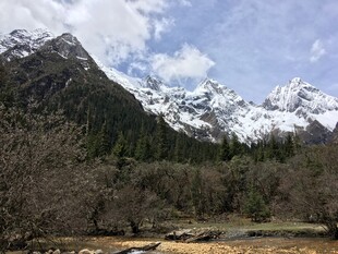 雪山下的山林美景