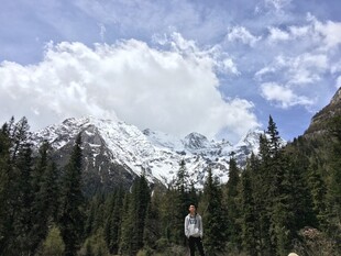 雪山下的茂密森林景观