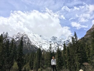 雪山下的森林美景
