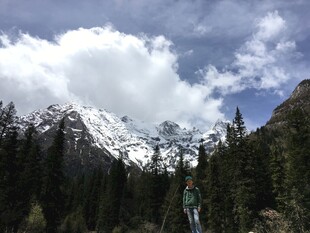 雪山森林间的壮丽景致