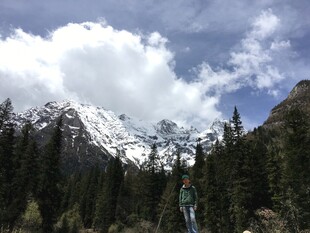 雪山下的葱郁山林