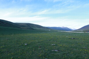 广袤草原与远处山峦风光
