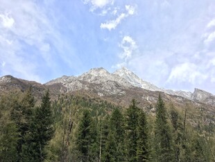巍峨山峦下的葱郁森林