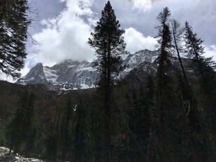 山林中的巍峨雪山
