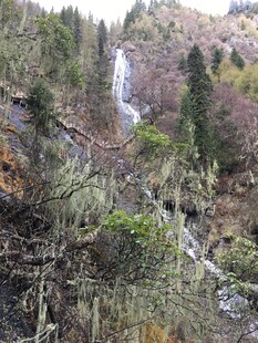 山间瀑布与葱郁林木景观