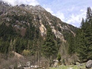 巍峨山峦间的葱郁森林