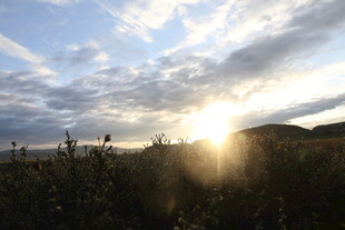 夕阳下的田野与绚烂云彩
