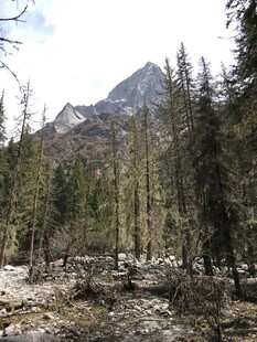 山林中的巍峨山峰