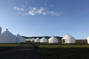 草原上的白色帐篷聚落