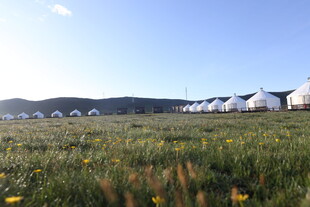 草原上的白色帐篷群落