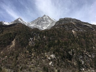 雪山下的山林景观