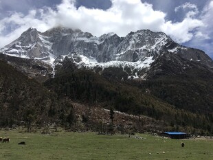 雪山下的草原风光