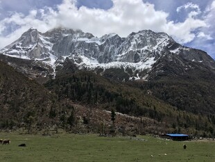 雪山下的草原风光