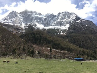 雪山下的草原风光