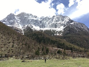 雪山下的开阔草地风光