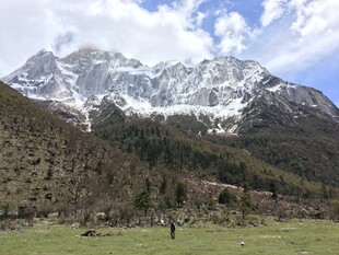 雪山下的开阔草地风光