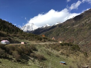 山间公路旁的美丽景致