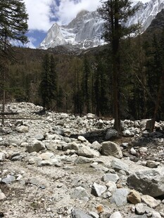 山间碎石路与茂密树林景观