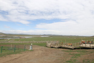 草原风光 远处围栏与行人