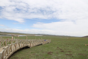草原木桥与蓝天白云美景