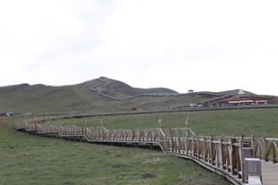 草原木栈道景观