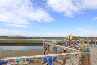 海边木质栈道风景