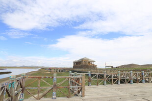 海边木质栈道与远处建筑