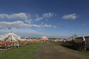 草原上的多彩帐篷景观