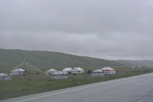 草原公路旁的白色帐篷群