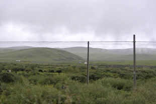 草原上的电线与广袤景色