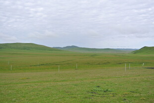 草原风光 广袤绿野